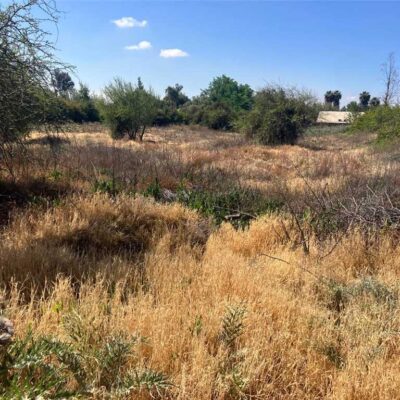 PROPIEDAD LAMPA, SANTA SARA